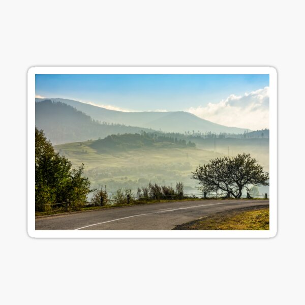 road through the forest in mountains Sticker