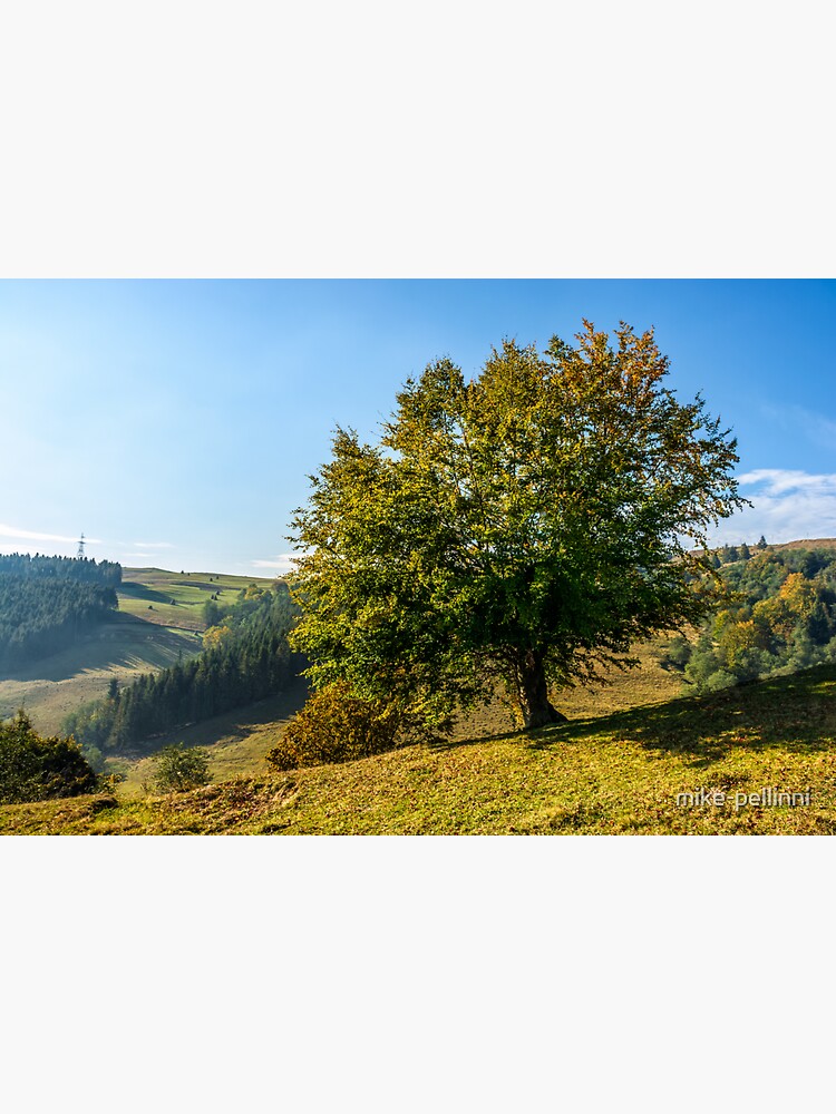tree near valley in mountains by mike-pellinni