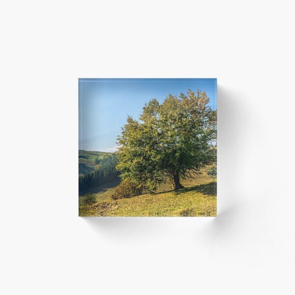 tree near valley in mountains Acrylic Block