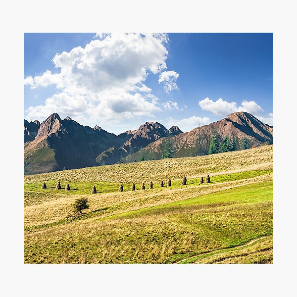 Rural fields near the high mountains Photographic Print