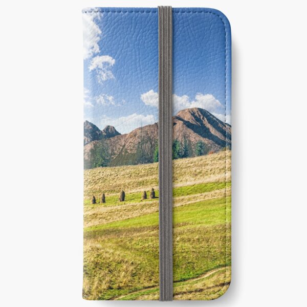 Rural fields near the high mountains iPhone Wallet