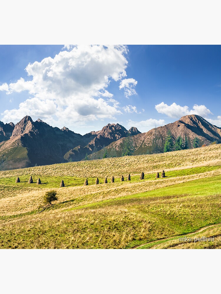 Rural fields near the high mountains by mike-pellinni