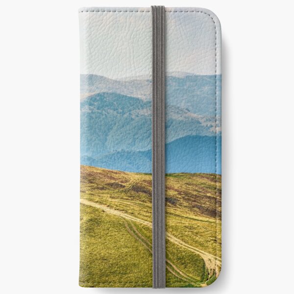 road through a meadow on hillside iPhone Wallet