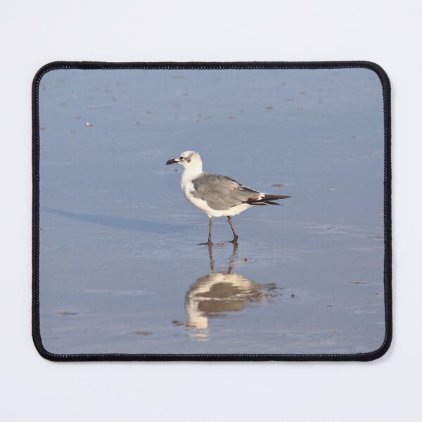 Item preview, Laughing gull designed and sold by zumi.