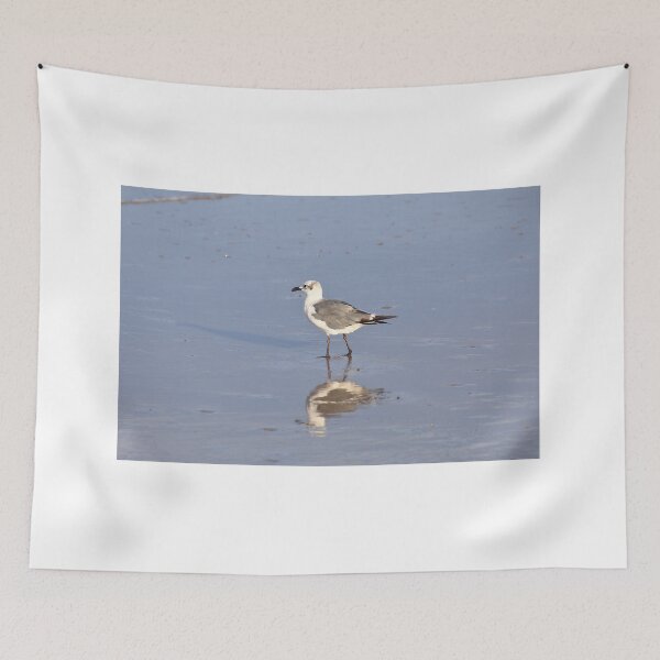 Item preview, Laughing gull designed and sold by zumi.