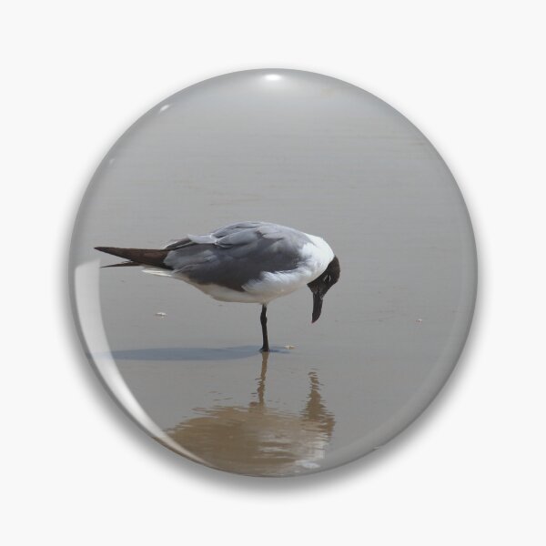 Item preview, Laughing gull reflection designed and sold by zumi.