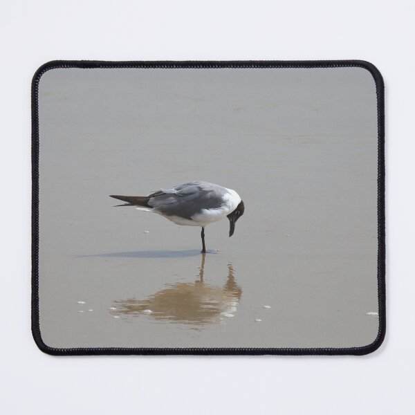 Item preview, Laughing gull reflection designed and sold by zumi.