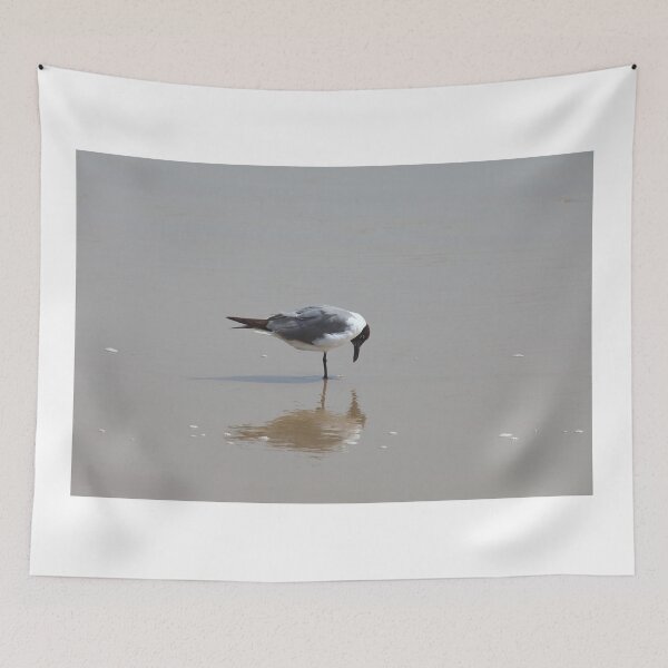 Item preview, Laughing gull reflection designed and sold by zumi.
