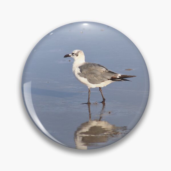 Item preview, Laughing gull designed and sold by zumi.