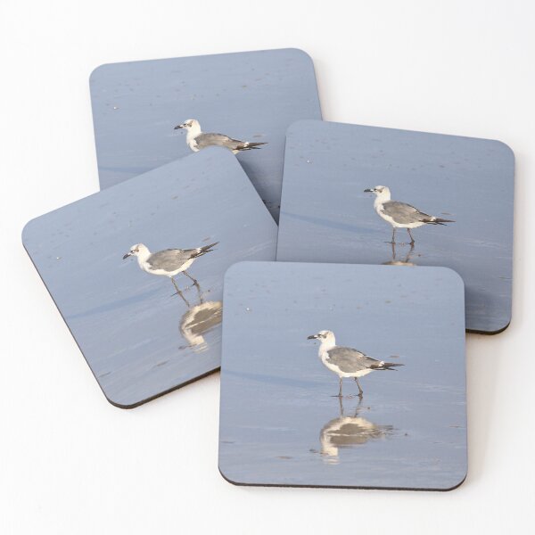Item preview, Laughing gull designed and sold by zumi.