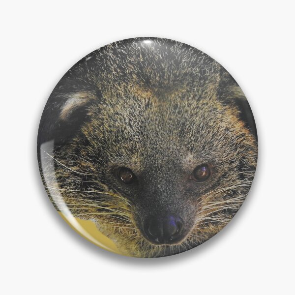 Item preview, Binturong designed and sold by andrew82984.