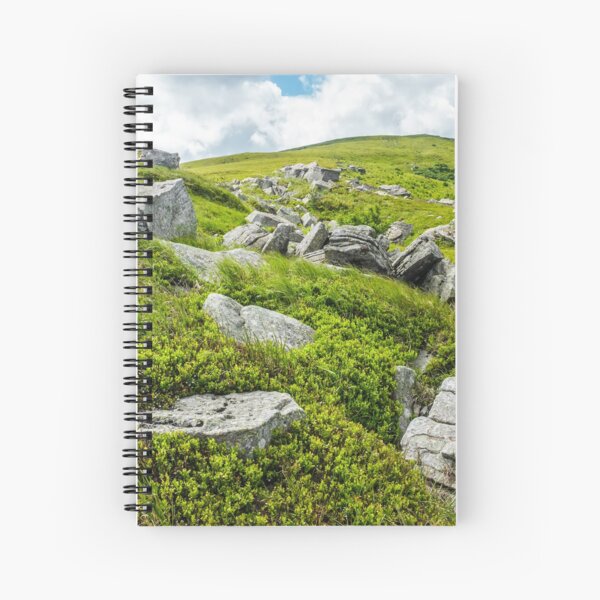 stones and boulders in Carpathian mountain range Spiral Notebook
