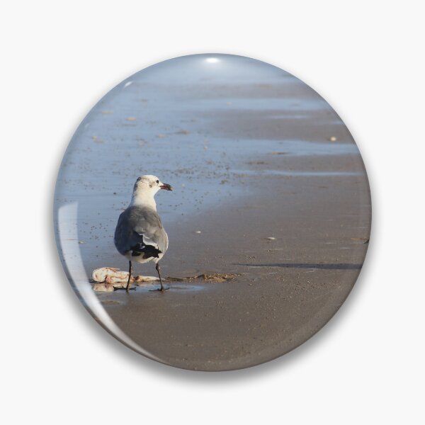 Item preview, Shorebirds designed and sold by zumi.