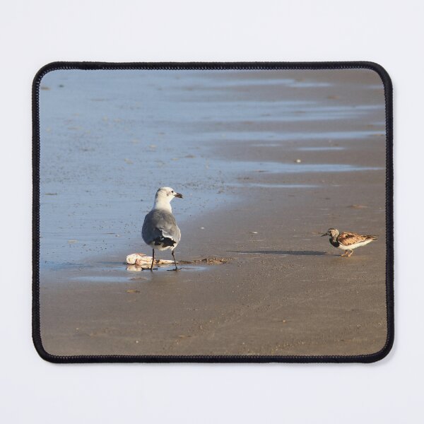 Item preview, Shorebirds designed and sold by zumi.