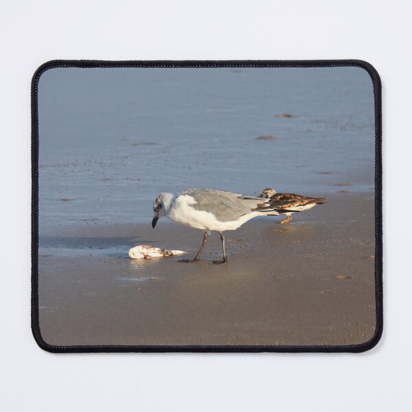Item preview, Shorebirds of Boca Chica II designed and sold by zumi.