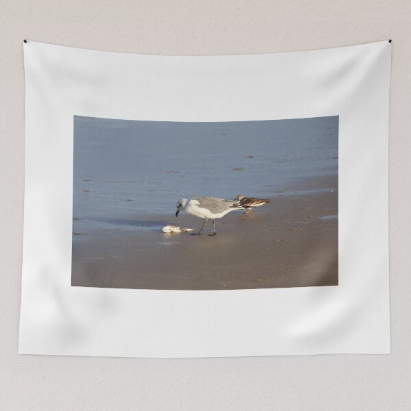 Item preview, Shorebirds of Boca Chica II designed and sold by zumi.