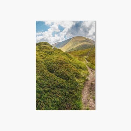 narrow path down the mountain Art Board Print