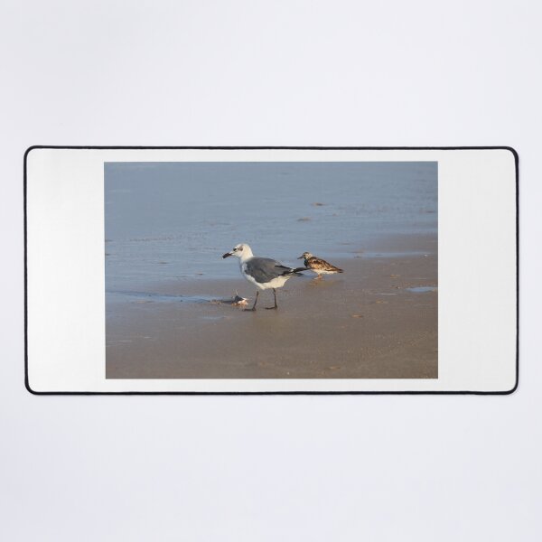 Item preview, Shorebirds of Boca Chica III designed and sold by zumi.