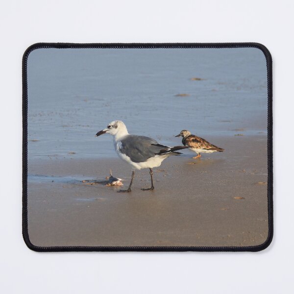 Item preview, Shorebirds of Boca Chica III designed and sold by zumi.