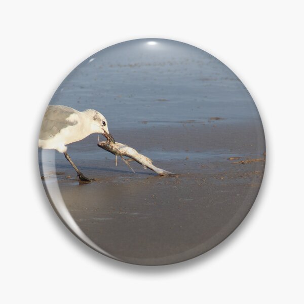 Item preview, Shorebirds of Boca Chica IV designed and sold by zumi.