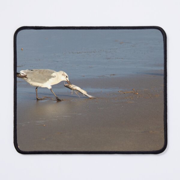 Item preview, Shorebirds of Boca Chica IV designed and sold by zumi.