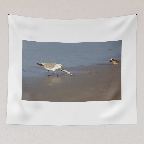 Item preview, Shorebirds of Boca Chica IV designed and sold by zumi.