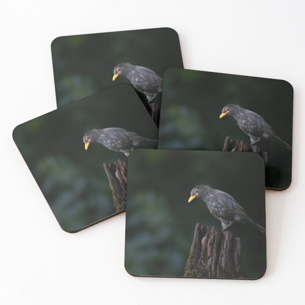 Item preview, Blackbird designed and sold by carrizizi.