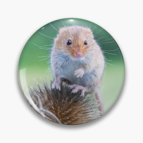 Item preview, Harvest Mouse designed and sold by carrizizi.