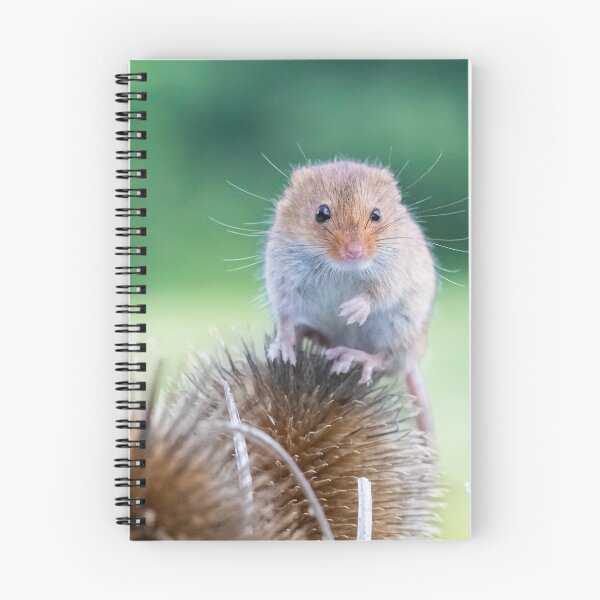 Item preview, Harvest Mouse designed and sold by carrizizi.