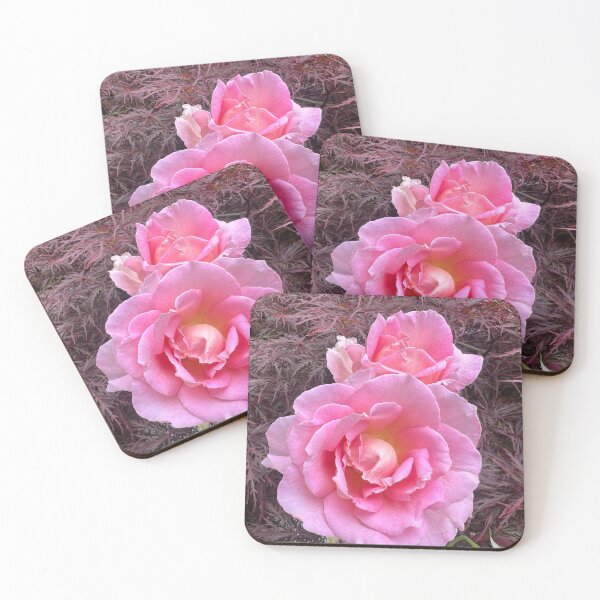 Item preview, Beloved Pink Rose Buds of Friends and Lovers designed and sold by Photomersion.