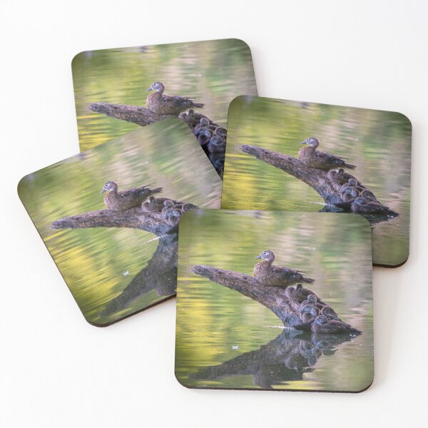 Item preview, The Wood Duck Family designed and sold by BowToe.