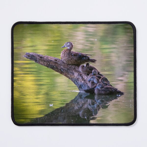 Item preview, The Wood Duck Family designed and sold by BowToe.