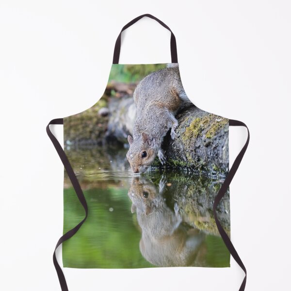 Item preview, Squirrel designed and sold by carrizizi.
