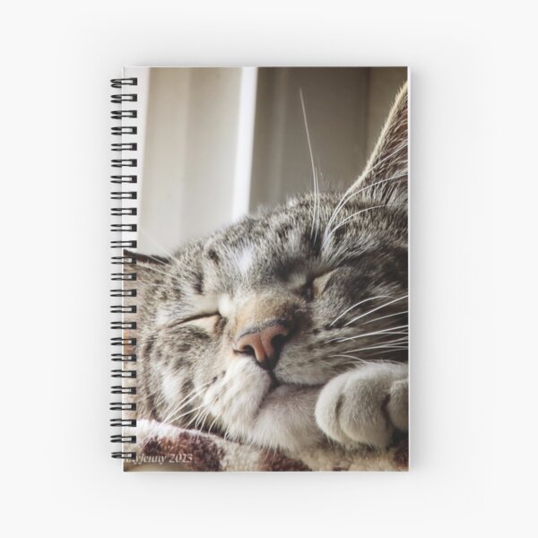 Tigger Bear Spiral Notebook