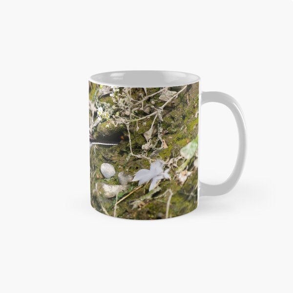 Item preview, Wagtail reflection designed and sold by GreyFeatherPhot.