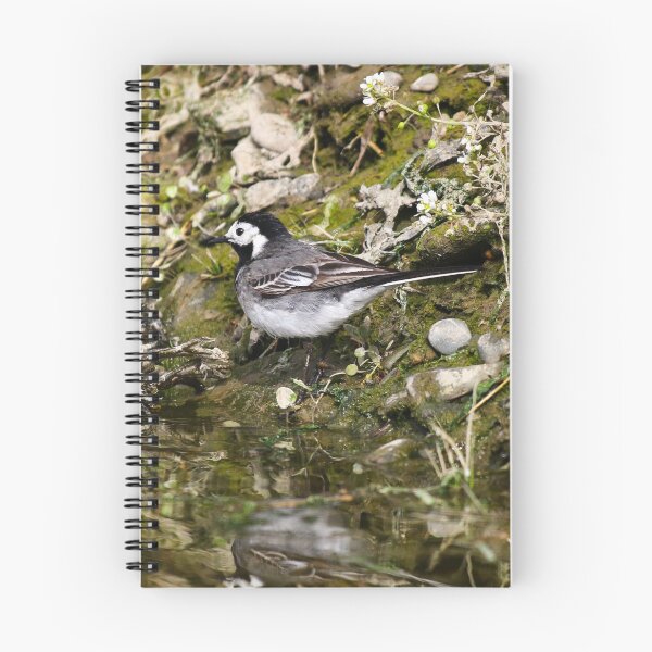 Item preview, Wagtail reflection designed and sold by GreyFeatherPhot.