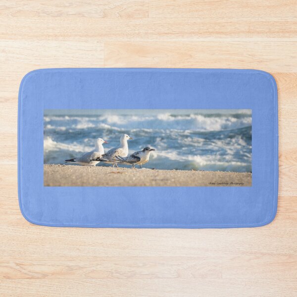 Item preview, Birds on beach. Juvenile white-fronted tern injured on beach and surrounded by seagulls perhaps to offer some protection. designed and sold by Brian Scantlebury.