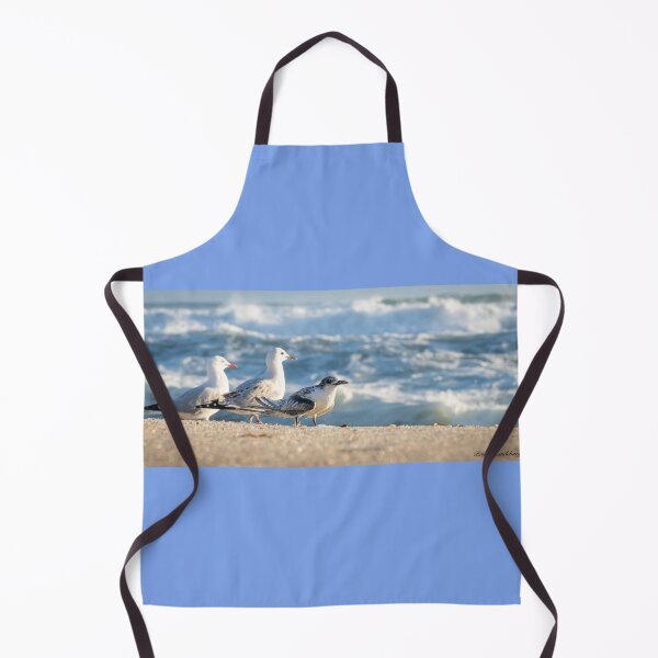 Item preview, Birds on beach. Juvenile white-fronted tern injured on beach and surrounded by seagulls perhaps to offer some protection. designed and sold by Brian Scantlebury.