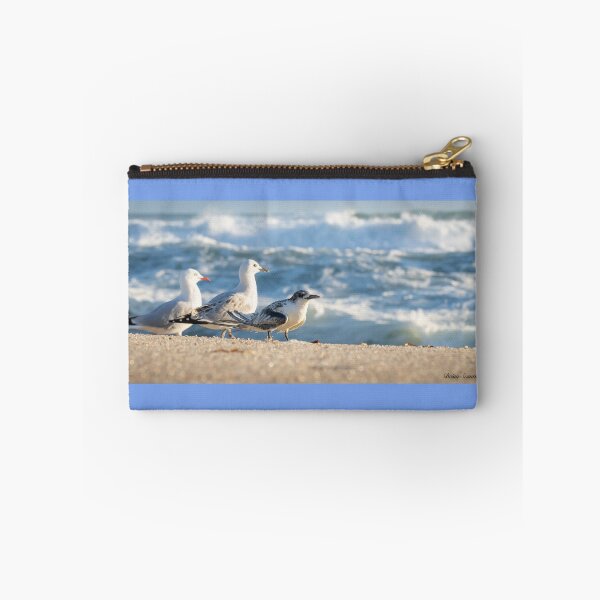 Item preview, Birds on beach. Juvenile white-fronted tern injured on beach and surrounded by seagulls perhaps to offer some protection. designed and sold by Brian Scantlebury.