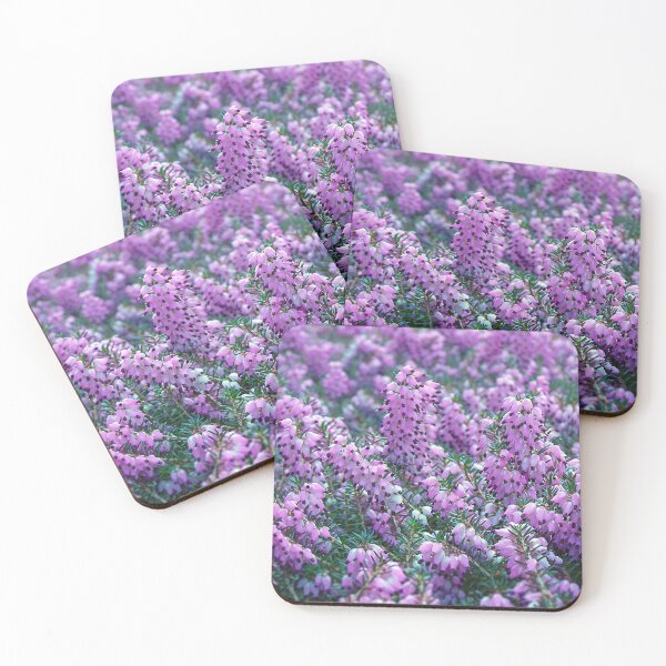Item preview, Purple Winter Flowering Heathers designed and sold by Photostacia.