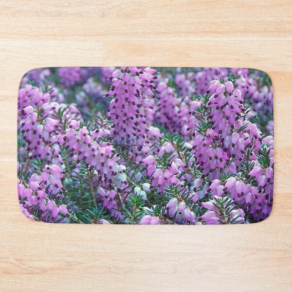 Item preview, Purple Winter Flowering Heathers designed and sold by Photostacia.