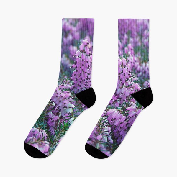 Item preview, Purple Winter Flowering Heathers designed and sold by Photostacia.
