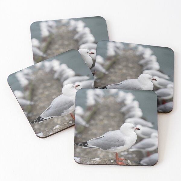 Item preview, Seagull on p acier in diminishing perspective and focus designed and sold by Brian Scantlebury.