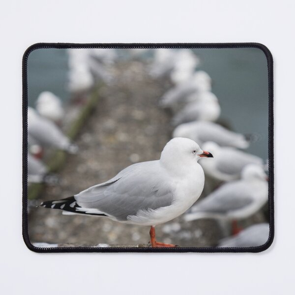 Item preview, Seagull on p acier in diminishing perspective and focus designed and sold by Brian Scantlebury.