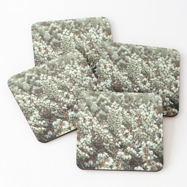 Item preview, White Winter Flowering Heathers designed and sold by Photostacia.