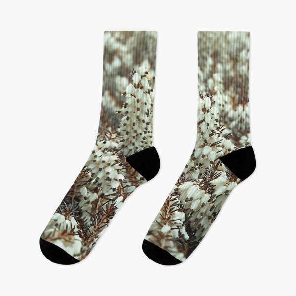 Item preview, White Winter Flowering Heathers designed and sold by Photostacia.