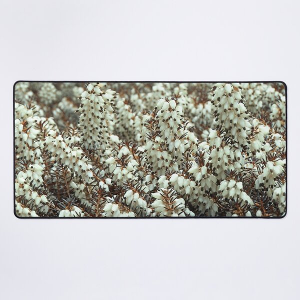 Item preview, White Winter Flowering Heathers designed and sold by Photostacia.