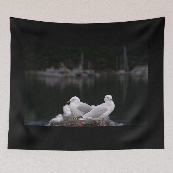Item preview, Gaviota en el muelle de Picton, Nueva Zelanda. designed and sold by Brian Scantlebury.