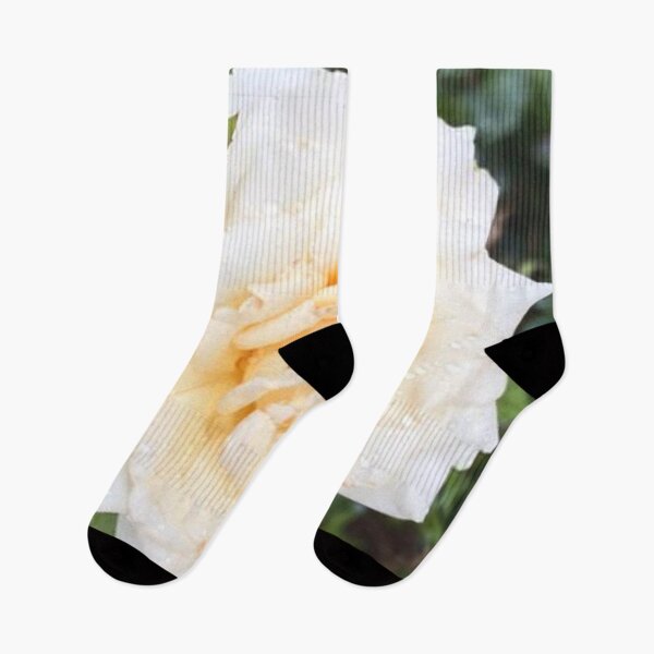 Item preview, Beautiful White Rose flower designed and sold by lets-travel.