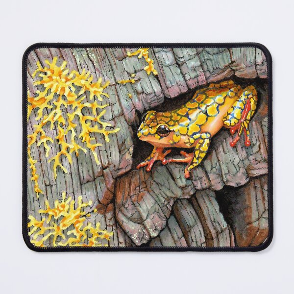 Item preview, Harlequin Dart Frog designed and sold by Jessicas-Corner.